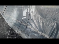 Grânulos de humato de potássio/humato de sódio