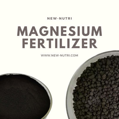PH6 Leonardite Source Magnesium Humic Acid Powder