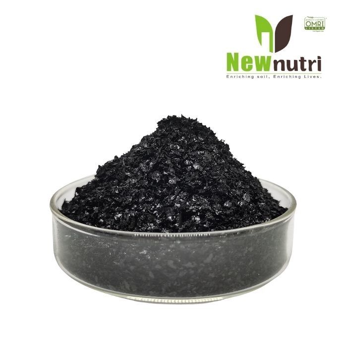 Water Soluble 12% Potassium Humic Acid PH9.5 For Plant Growth