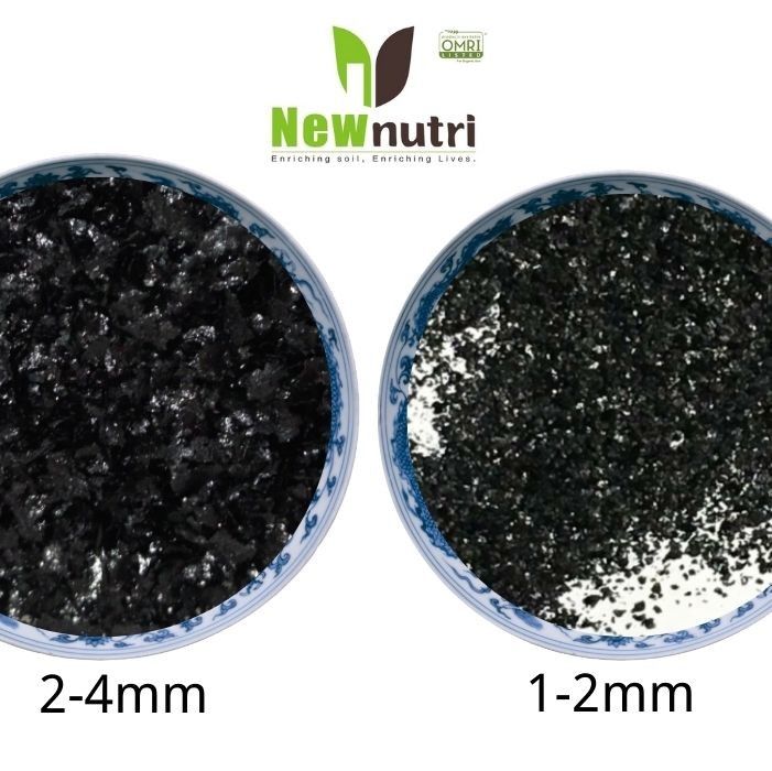 Shiny Crystal 98% Water Soluble Organic Potassium Fertilizer