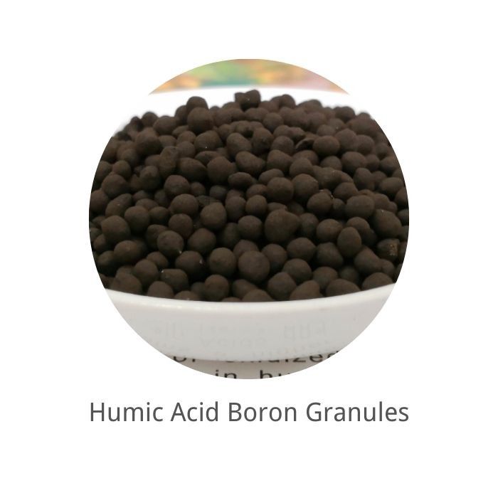 Black Powder Boron Humic Acid Fertilizer
