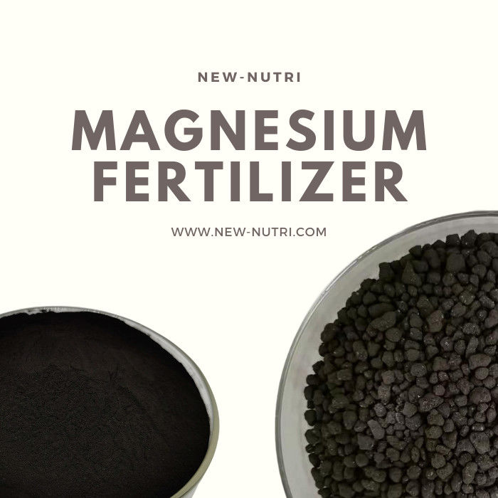 PH6 Leonardite Source Magnesium Humic Acid Powder